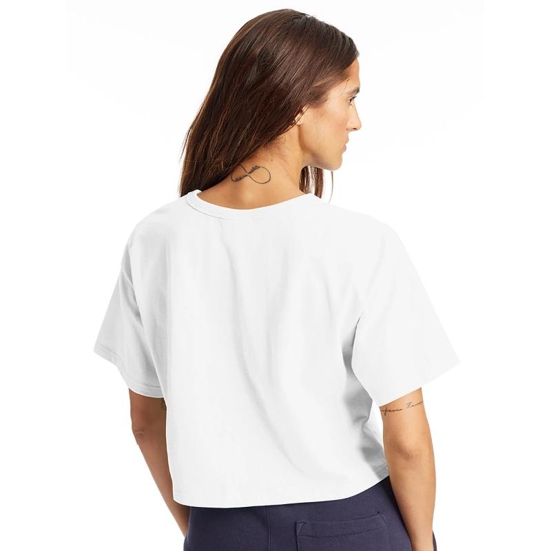 Chattahoochee Bend State Park Georgia GA Camping