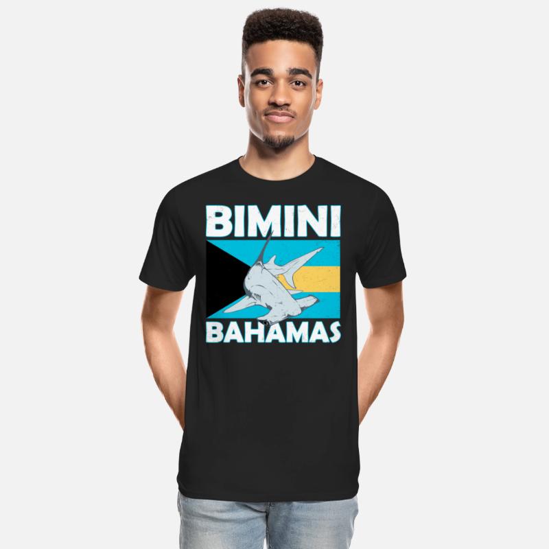 Bimini Bahamas Hammerhead Shark