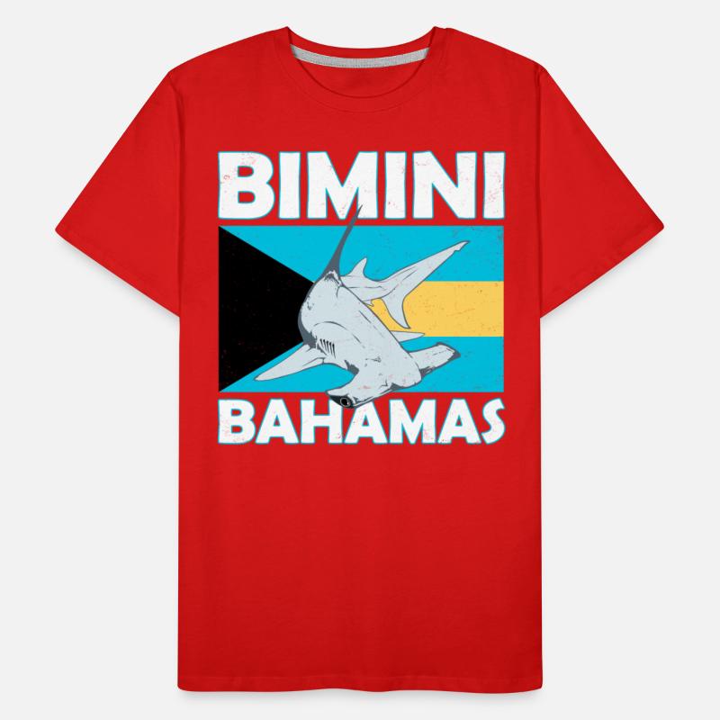 Bimini Bahamas Hammerhead Shark