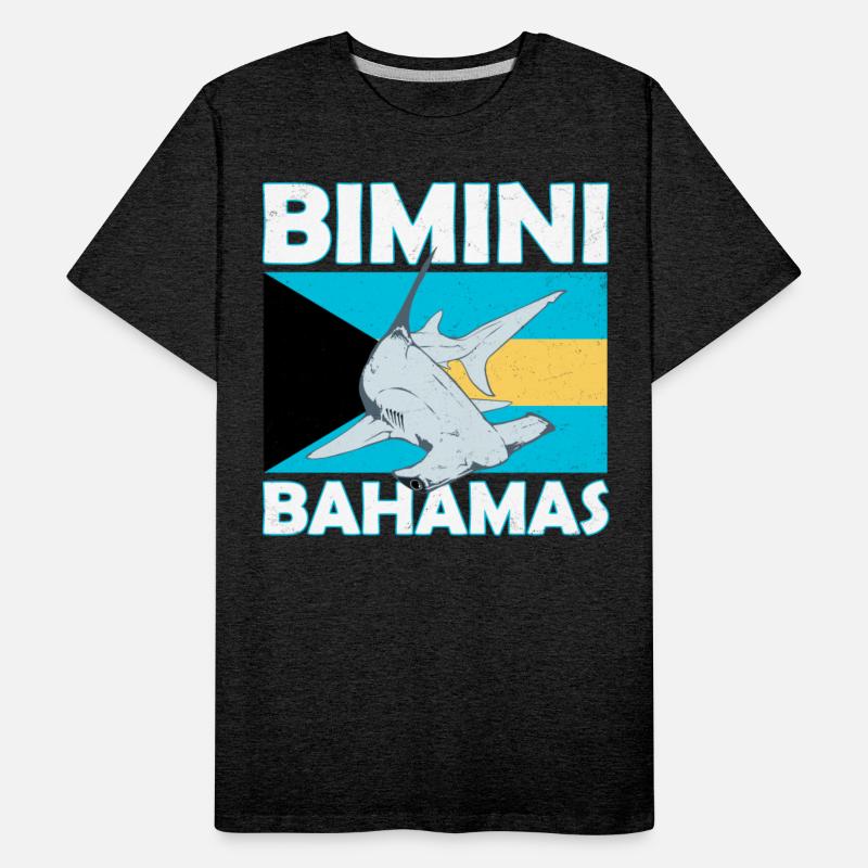 Bimini Bahamas Hammerhead Shark