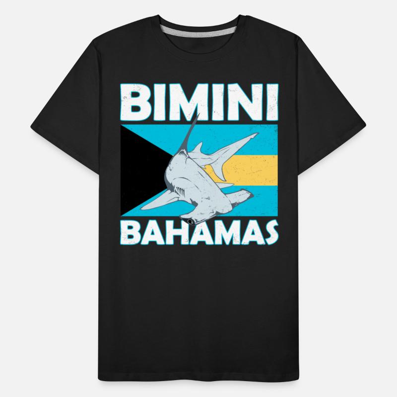 Bimini Bahamas Hammerhead Shark