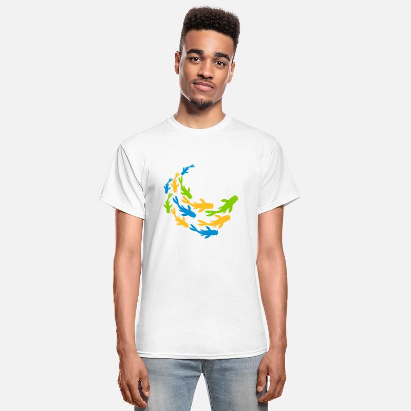 colorful shoal koi fish