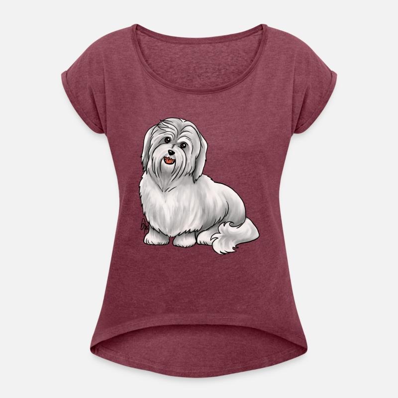 Dog Havanese Dog White
