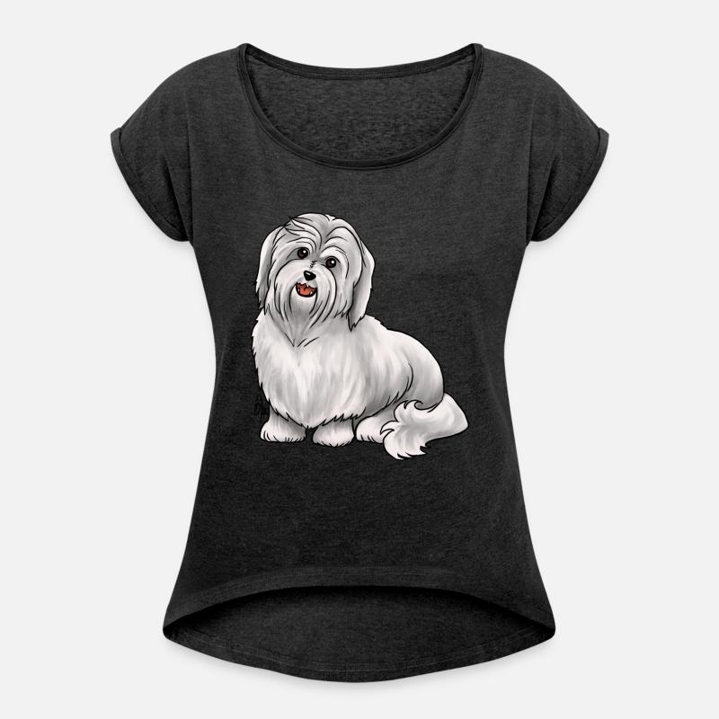 Dog Havanese Dog White