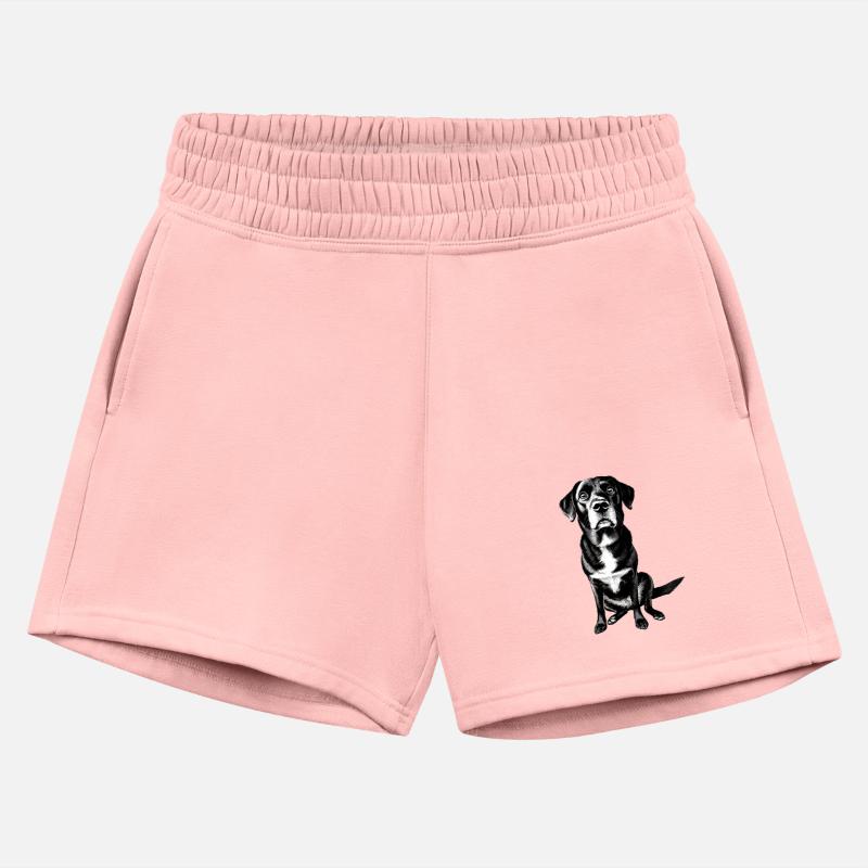 Floki Sitting Pretty - A Portrait of Loyalty