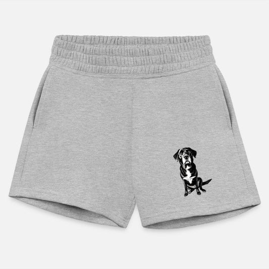 Floki Sitting Pretty - A Portrait of Loyalty