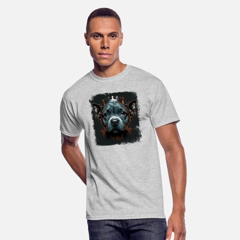 Little American Staffordshire Terrier King