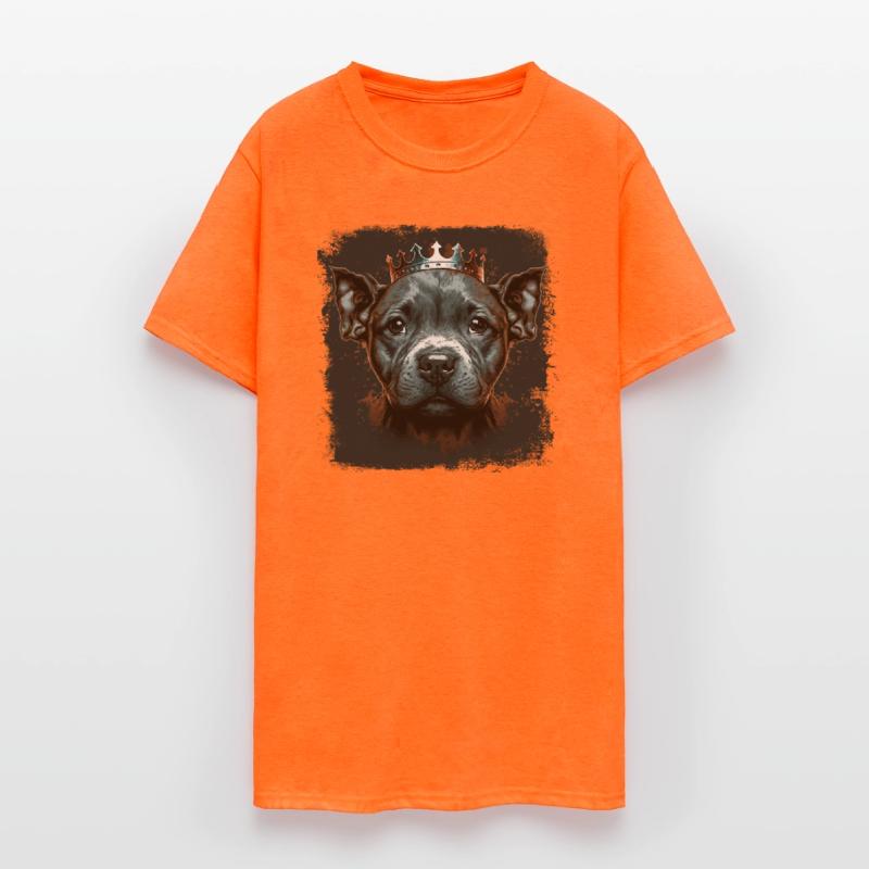 Little American Staffordshire Terrier King