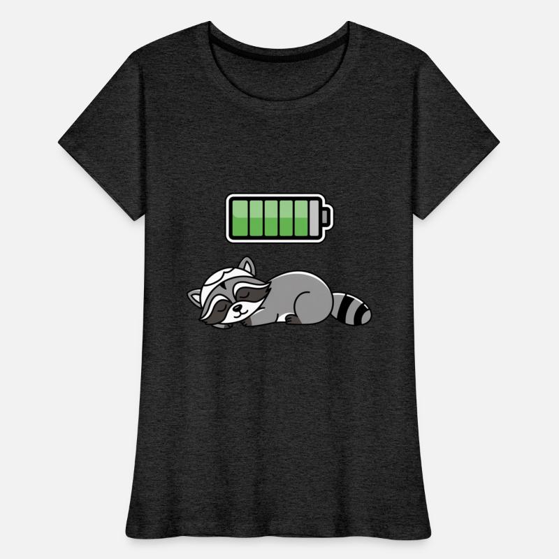 Racoon Sleeping Recharging Night Bedtime