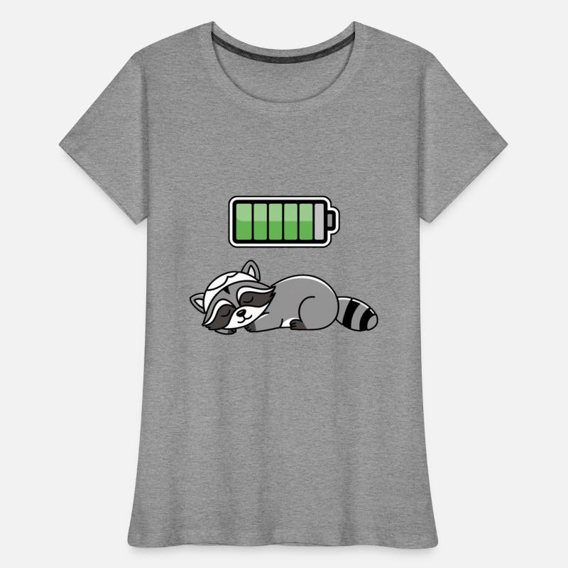 Racoon Sleeping Recharging Night Bedtime