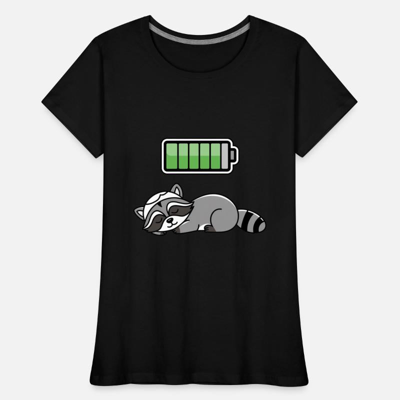 Racoon Sleeping Recharging Night Bedtime