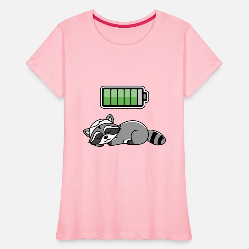 Racoon Sleeping Recharging Night Bedtime