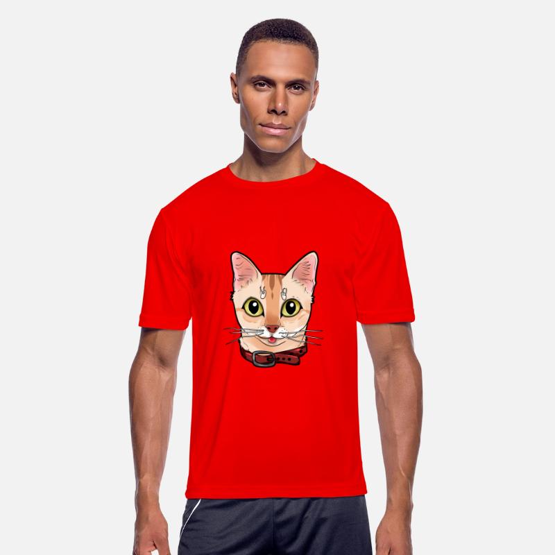 Singapura cat face Cats Kitty funny Comic Cartoon