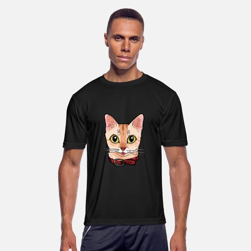 Singapura cat face Cats Kitty funny Comic Cartoon