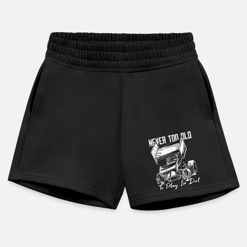 SPRINT CAR DIRT TRACK RACING