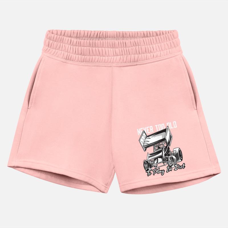 SPRINT CAR DIRT TRACK RACING