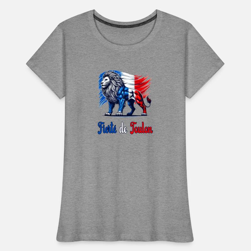 The pride of Toulon flag design